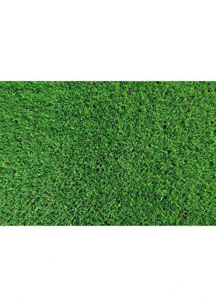 Çim Gübresi Çiçek Çoşturan 250ML SOLÜSYON Çim Coşturan Bitki Coşturan Bitki Geliştirici 100 LT SUYA KARIŞTIR ÇİMLERE POMPA İLE SPREY YAP