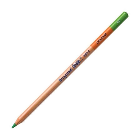 Bruynzeel Design Colour Sanatsal Kuru Boya Kalemi (12 Li Paket) Light Green Pencils