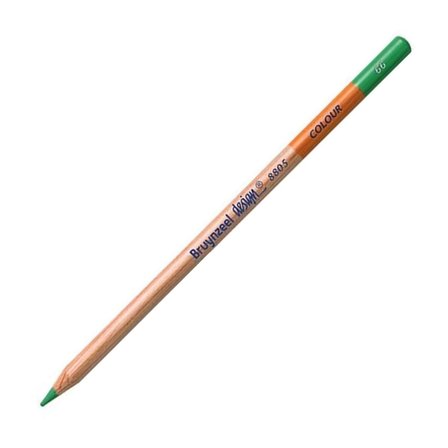 Bruynzeel Design Colour Sanatsal Kuru Boya Kalemi (12 Li Paket) Green Pencils