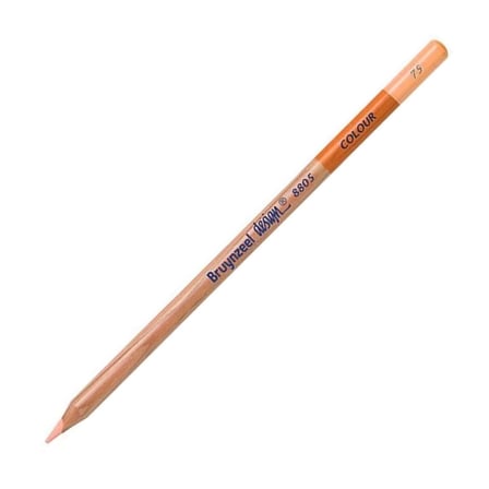 Bruynzeel Design Colour Sanatsal Kuru Boya Kalemi (12 Li Paket) Titanium Buff Light Pencils