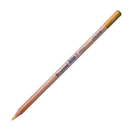 Bruynzeel Design Colour Sanatsal Kuru Boya Kalemi (12 Li Paket) Gold Pencils
