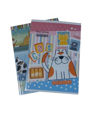 Meteksan Karton Kapak Dikişli Defter Çizgili 96 Yaprak A5 (12 Li Paket)