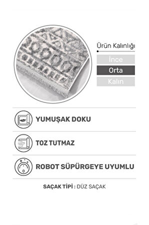 Notteo Modern Halı | Yumuşak Dokulu, Dokuma Tabanlı, 7 mm İnce Form, Dayanıklı