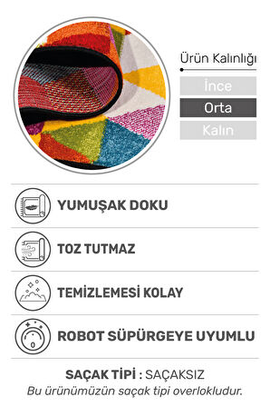 Colora Halı Koleksiyonu | Yumuşak Renkli Kare Halı, Tozumaz, Modern Tasarım ve Kolay Temizlik