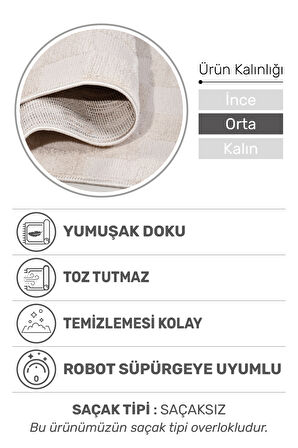 Joliva Halı Koleksiyonu | Yumuşak Post Halı, Kalın Hav, Tozumaz ve Kolay Temizlik