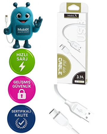 MobiLX USB to Type-C Şarj ve Data Kablosu – 3.1A, Hızlı Şarj, Siyah