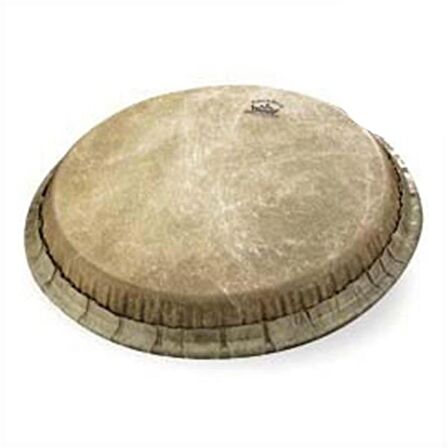 Remo 11'' Conga Derisi