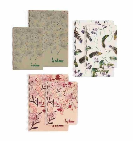 Keskin Color 16,5X22,5Cm 100 Yaprak Kareli Plastik Kapak Spiralli La Plume Defter (2 Li Paket) 322052-99