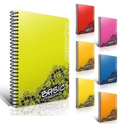 Gıpta Basic A4 Plastik Kapak Spiralli Defter Kareli 96 Yaprak 1541 (Karışık Renk, 1 Adet)