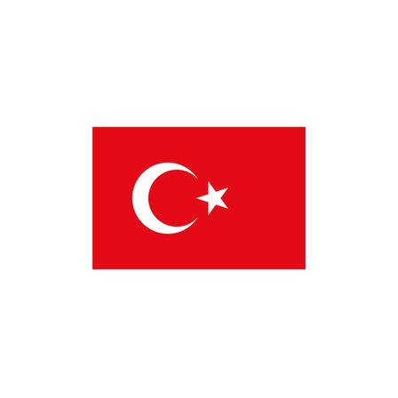 Vatan Türk Bayrağı Polyester 20X30Cm (10 Lu Paket) Kt Vt0101