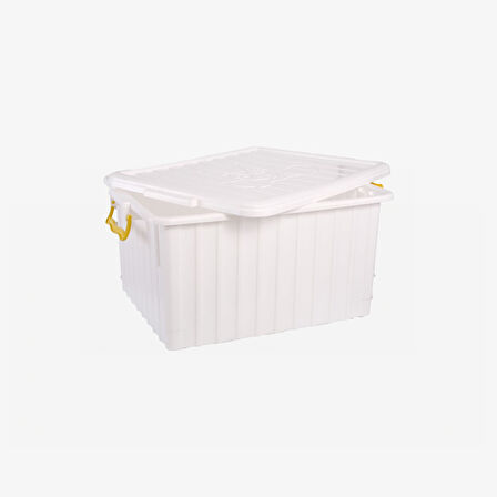 Bal Taşıma Sandığı (Renkli)
