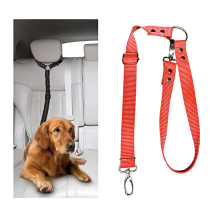 Köpek Kedi Araç Tasması