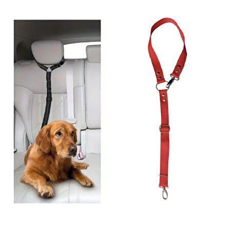 Köpek Kedi Araç Tasması