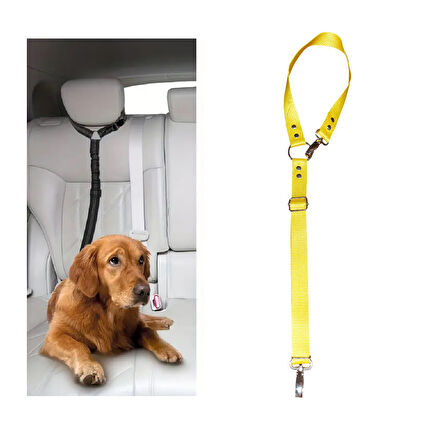 Köpek Kedi Araç Tasması