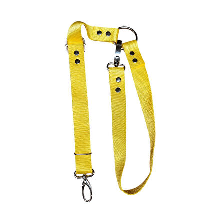 Köpek Kedi Araç Tasması