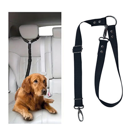 Köpek Kedi Araç Tasması