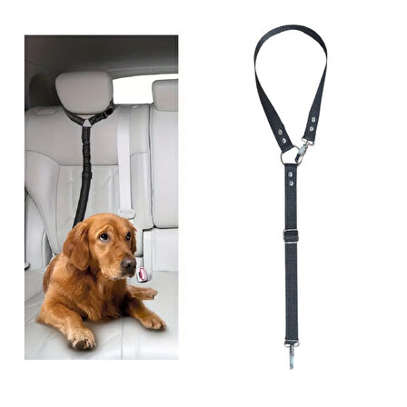 Köpek Kedi Araç Tasması