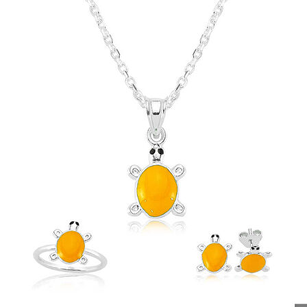 Himarry Gümüş Turuncu Kaplumbağa Çocuk Set