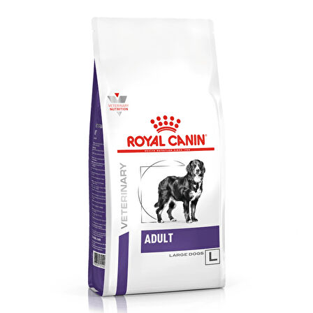 Royal Canin Adult Büyük Irk Köpek Maması 13 Kg