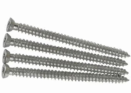 MERİDYEN 7,5X100 MM BULDEKS VİDA 100 ADET