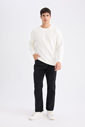DeFacto Regular Fit Bisiklet Yaka Jakarlı Sweatshirt D5391AX24AUWT32