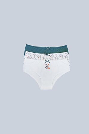 3'lü Ekonomik Paket Natural 2703 Pamuklu Basic Desenli Hipster Külot
