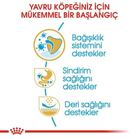 Royal Canin Fransız Bulldog Yavru Köpek Maması 3kg