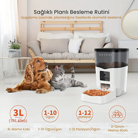 Petfit Feline Prime 3L Wi-Fi Kameralı Akıllı Otomatik Kedi Köpek Mama Kabı Besleme Ünitesi (Sesli Komut+Çelik Kase+APP Kontrol)