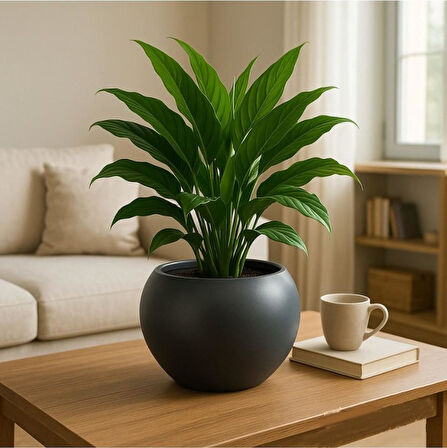 Omnipazar SO-KURS1 Dekoratif Modern Yuvarlak Küre Saksı 7.5 litre No 1 