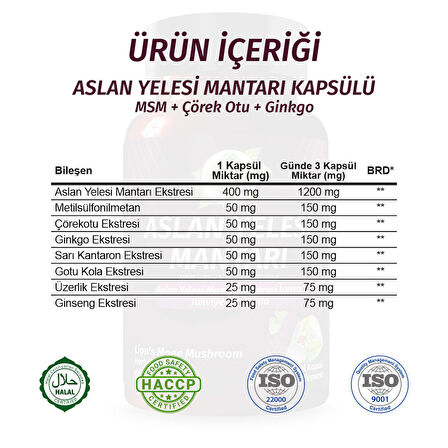 Aslan Yelesi Kapsül (LİON'S MANE MUSHROOMS CAPSULE)