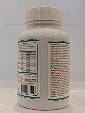 Japon Poligonumu Kapsül (JAPANESE POLYGON CAPSULE)