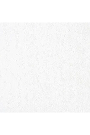 Caran d'Ache Neopastel Yumuşak Yağlı Pastel White 001