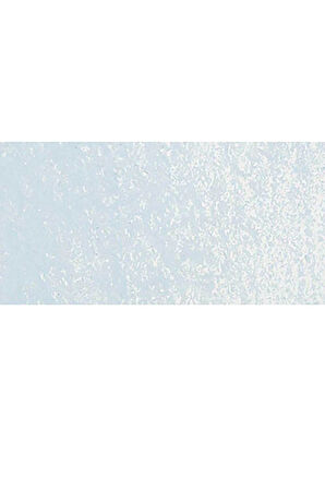 Caran d'Ache Neopastel Yumuşak Yağlı Pastel Silver Grey 002