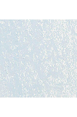 Caran d'Ache Neopastel Yumuşak Yağlı Pastel Silver Grey 002