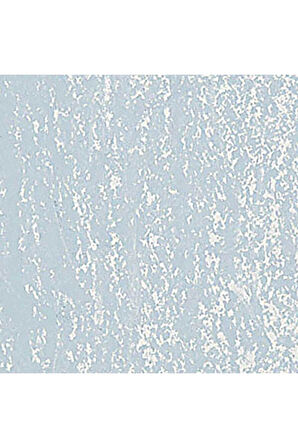 Caran d'Ache Neopastel Yumuşak Yağlı Pastel Light Grey 003