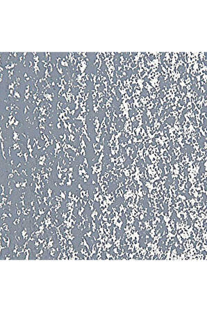 Caran d'Ache Neopastel Yumuşak Yağlı Pastel Grey 005