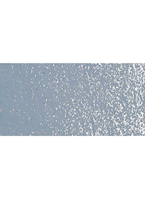 Caran d'Ache Neopastel Yumuşak Yağlı Pastel Mouse Grey 007
