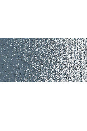 Caran d'Ache Neopastel Yumuşak Yağlı Pastel Greyish Black 008