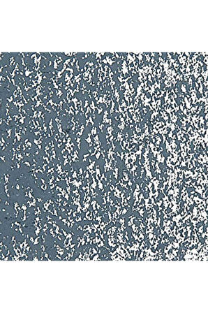Caran d'Ache Neopastel Yumuşak Yağlı Pastel Greyish Black 008