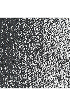 Caran d'Ache Neopastel Yumuşak Yağlı Pastel Black 009