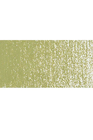 Caran d'Ache Neopastel Yumuşak Yağlı Pastel Khaki Green 016