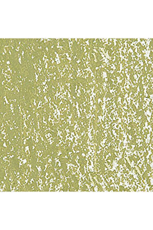 Caran d'Ache Neopastel Yumuşak Yağlı Pastel Khaki Green 016