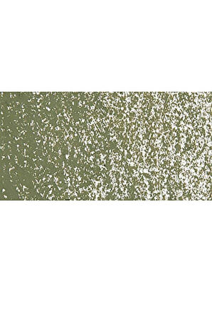 Caran d'Ache Neopastel Yumuşak Yağlı Pastel Olive Green 018