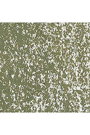 Caran d'Ache Neopastel Yumuşak Yağlı Pastel Olive Green 018