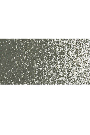 Caran d'Ache Neopastel Yumuşak Yağlı Pastel Olive Black 019