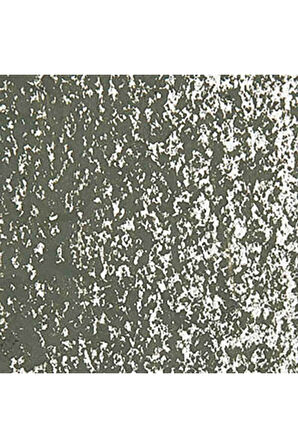 Caran d'Ache Neopastel Yumuşak Yağlı Pastel Olive Black 019