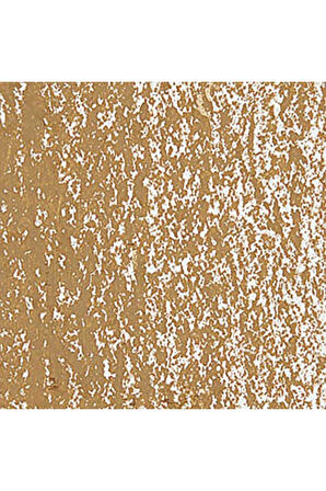 Caran d'Ache Neopastel Yumuşak Yağlı Pastel Brown Ochre 037