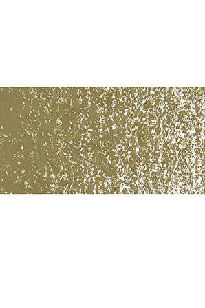 Caran d'Ache Neopastel Yumuşak Yağlı Pastel Olive Brown 039