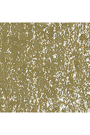 Caran d'Ache Neopastel Yumuşak Yağlı Pastel Olive Brown 039