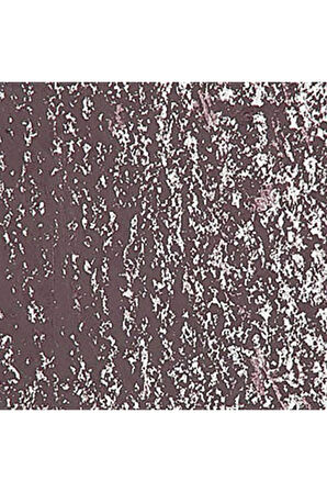 Caran d'Ache Neopastel Yumuşak Yağlı Pastel Bistre 047